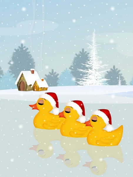 Ducks with Christmas hat — ストック写真
