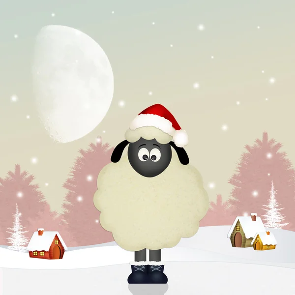 Sheep at Christmas — Stock Photo, Image