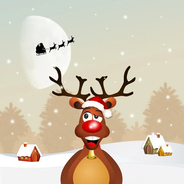 Reindeer at Christmas — Stock Photo, Image