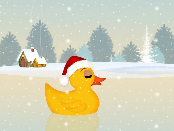 Cute duck at Christmas in winter — ストック写真