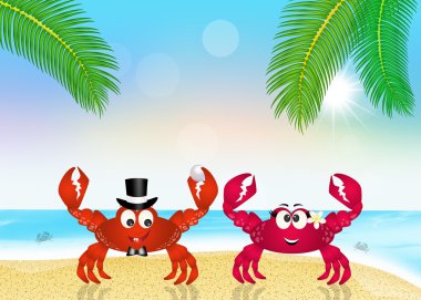Marriage of crabs clipart