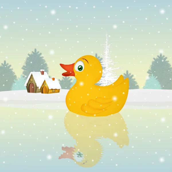 Duck in the lake in winter — Stock Photo, Image