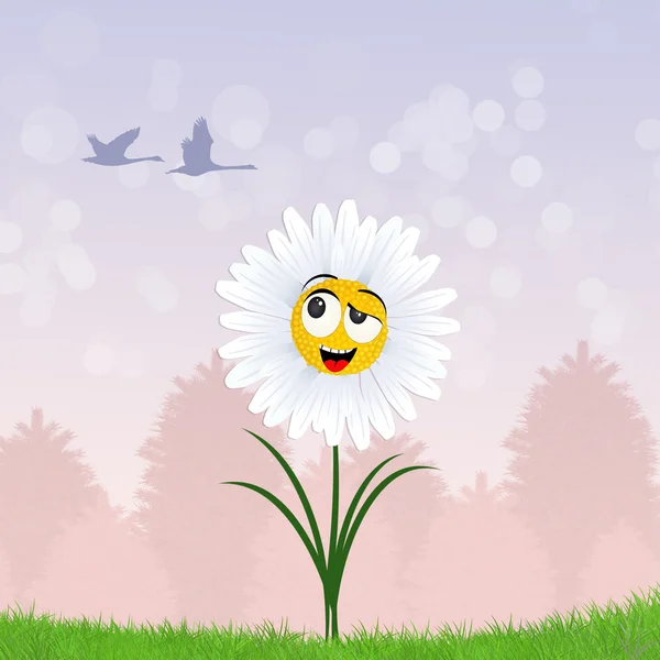 Daisy in the grass — Stock Photo, Image