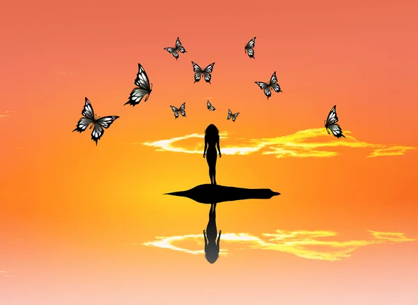 Butterflies at sunset — Stock Photo, Image