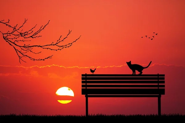 Cats and bird on bench at sunset — Stock Photo, Image