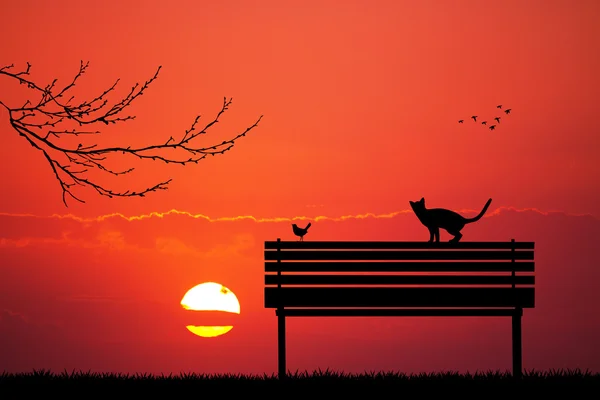 Gatos y pájaro en banco al atardecer — Foto de Stock