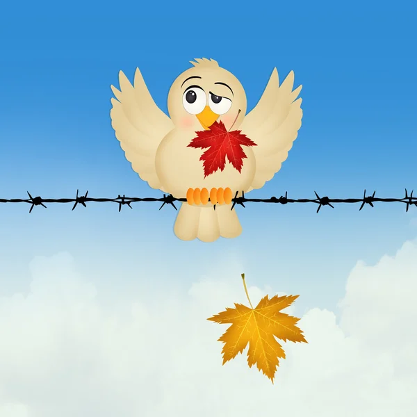 Bird with leaf in autumn — Stock Photo, Image