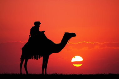 gün batımında Çölde deve