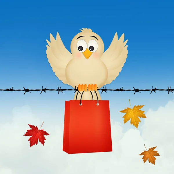 Bird go shopping — Stock Photo, Image