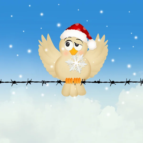 Птица со снежинкой зимой — стоковое фото