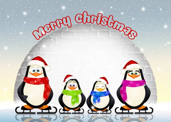 Familjen pingviner — Stockfoto