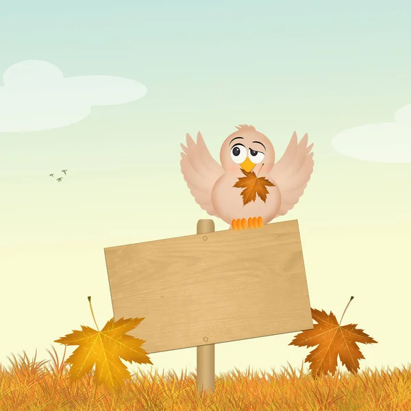 Vogel in de herfst — Stockfoto