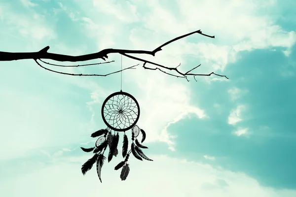 Günbatımında ağacında dreamcatcher — Stok fotoğraf