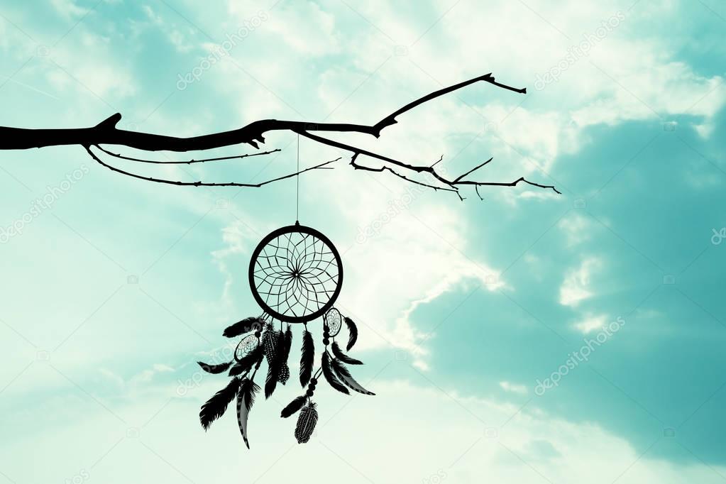 the dreamcatcher on tree at sunset
