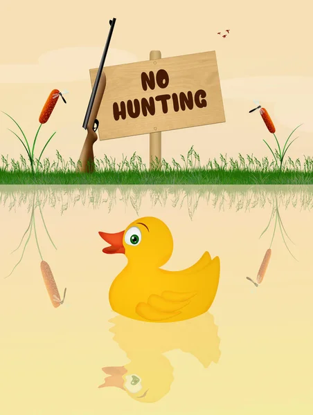 No hunting sign — Stock Photo, Image