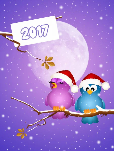 Oiseaux joyeux pour la nouvelle année — Photo