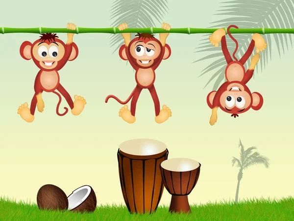 Macacos e tambores na selva — Fotografia de Stock