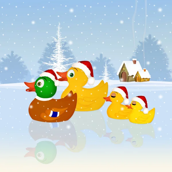 Rodziny kaczek na Boże Narodzenie — Zdjęcie stockowe