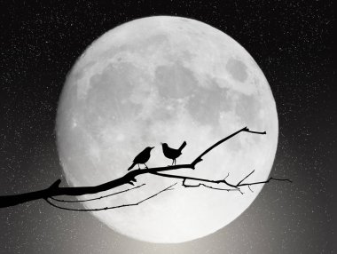 supermoon gösterimi