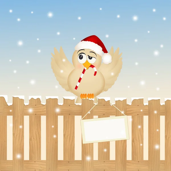 Zabawny ptak na Boże Narodzenie — Zdjęcie stockowe