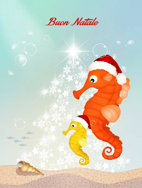 Zeepaardjes vieren kerst — Stockfoto
