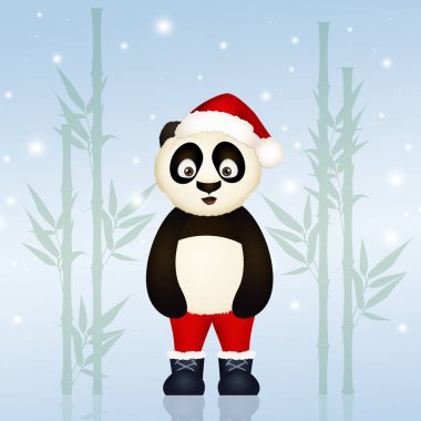Noel'de Panda