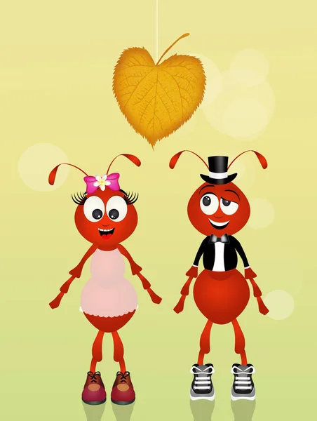 Ants in love — Stock Photo, Image