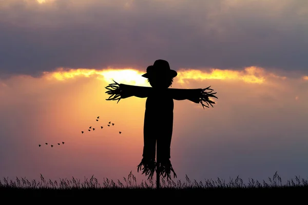 Scarecrow at sunset — Stock Photo, Image