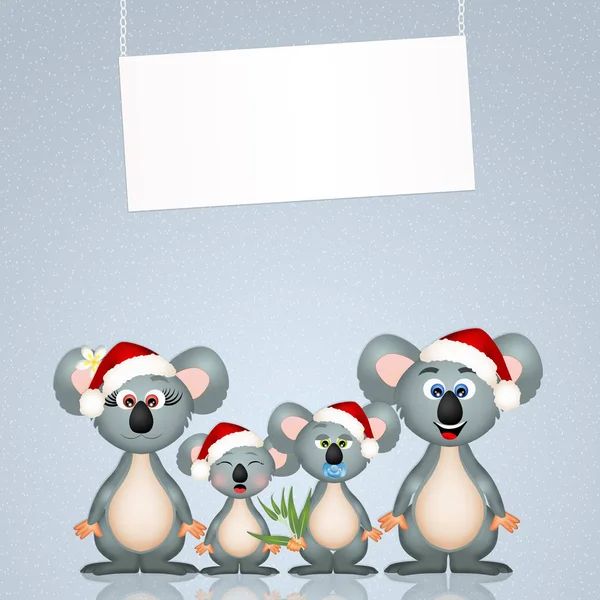 Koalas at Christmas — Stock Photo, Image