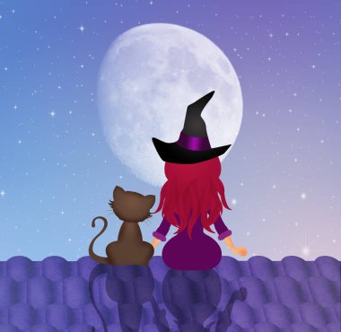 Epiphany ile kedi çatıda