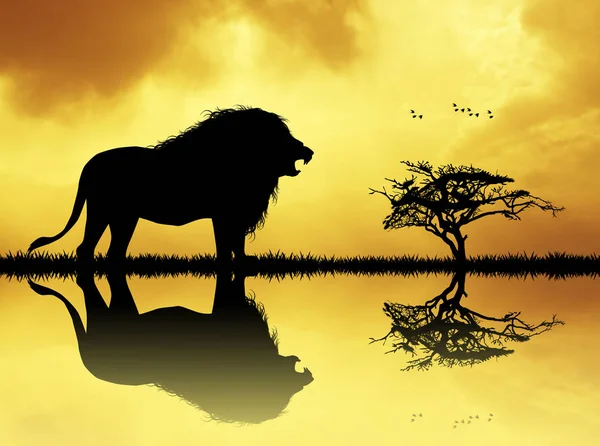 Силуэт льва на реке на закате — стоковое фото