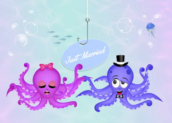 Illustration of octopus spouses — Stock Photo, Image
