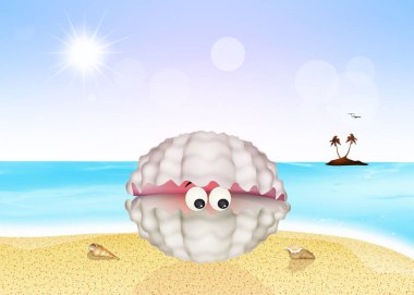 istiridye kabuğu sahilde