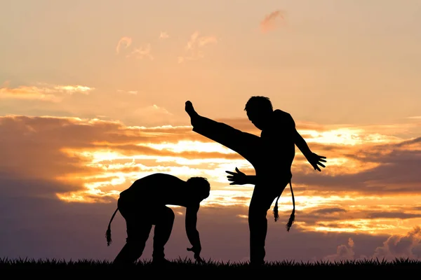 Capoeira ao pôr do sol — Fotografia de Stock