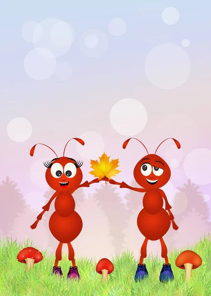 Couple of ants — Stock Photo, Image