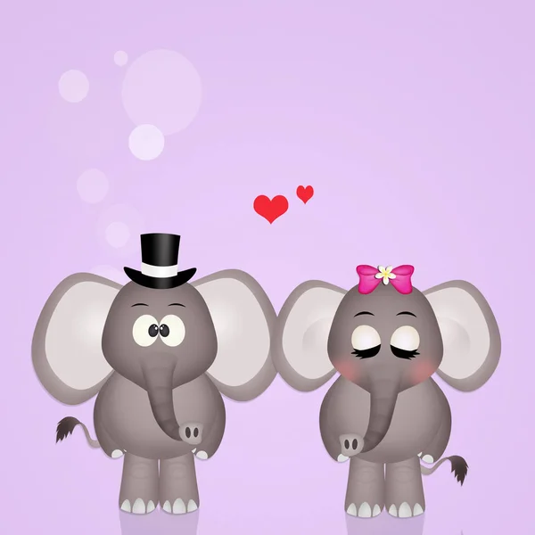 Illustration of elephants spouses — Stock Photo, Image