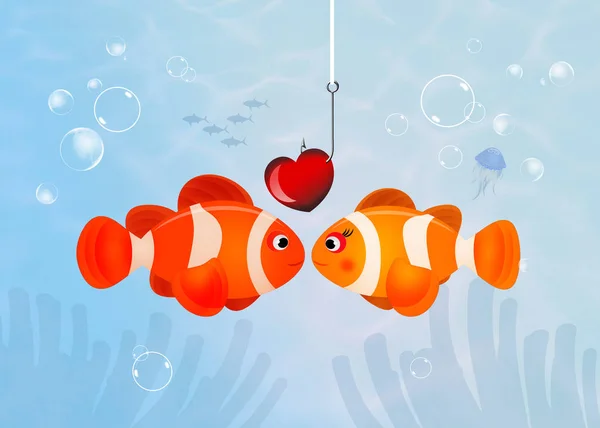 Clownfish in love — Stock Photo, Image
