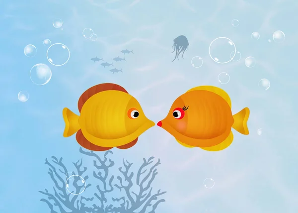 노란 물고기 커플 — 스톡 사진