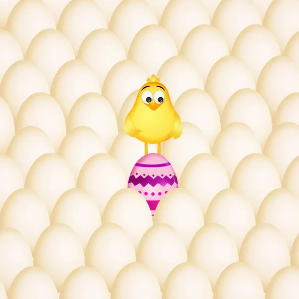 Chick in the eggs — Stock Photo, Image