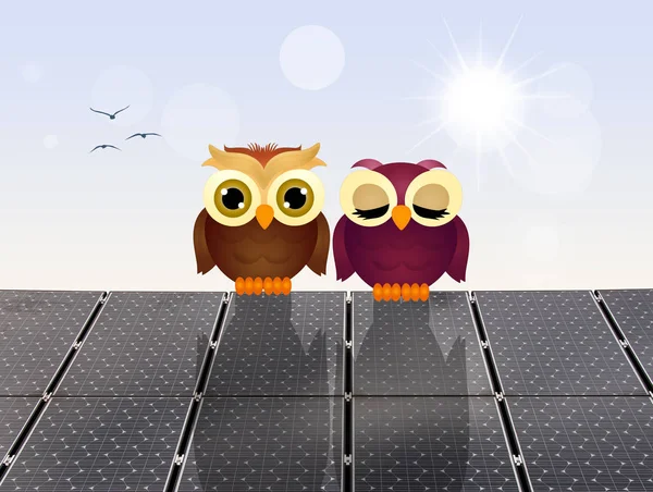 在太阳能电池板上的猫头鹰 — 图库照片