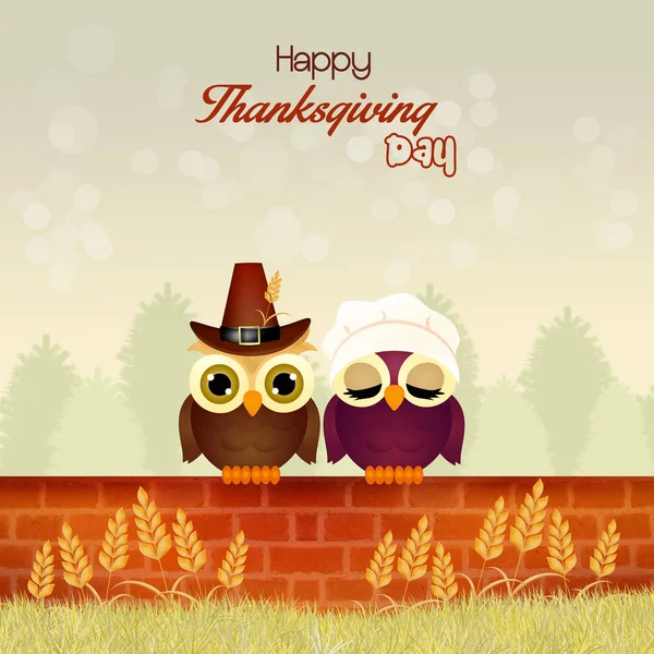 Owls for Thanksgiving day — Stock Photo, Image