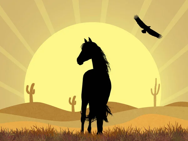Коні в пустелі — стокове фото