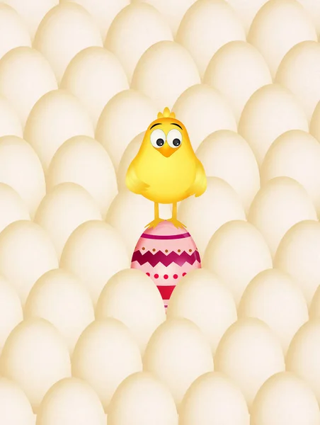 Chick in the Easter eggs — Stock Photo, Image