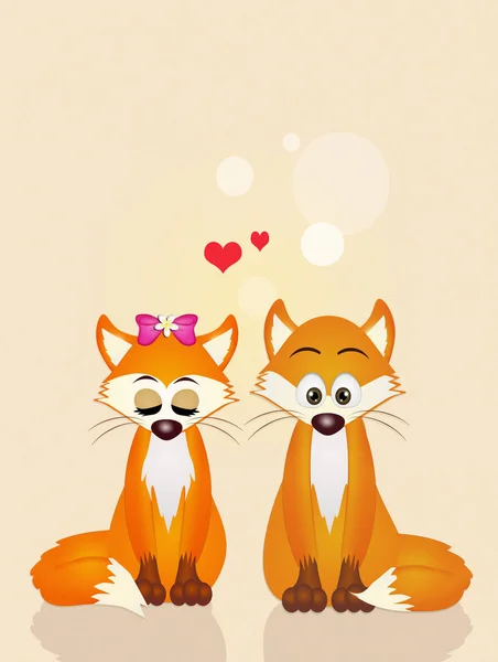 Foxes in love — Stock Photo, Image