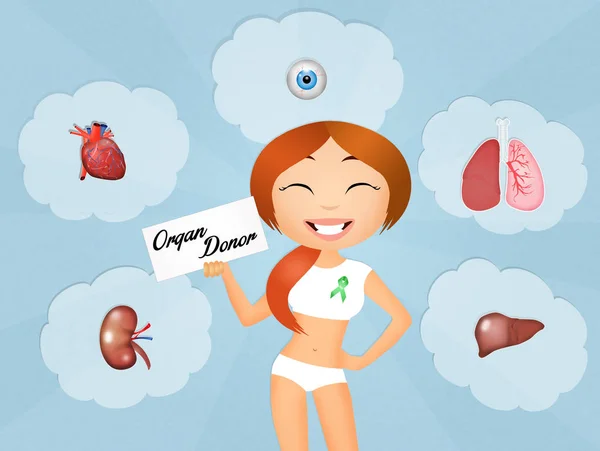 Ilustração do doador de órgãos — Fotografia de Stock