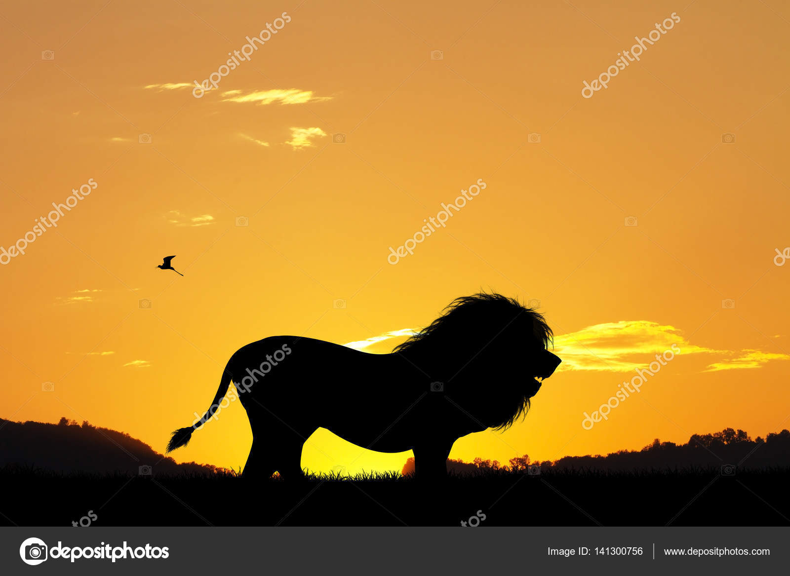 Silhouette De Lion Au Coucher Du Soleil Photographie