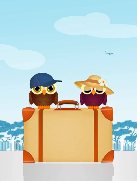 Ταξιδιώτες κουκουβάγιες σε βαλίτσα — Φωτογραφία Αρχείου