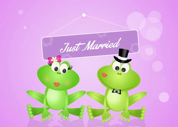 Bröllop av grodor — Stockfoto