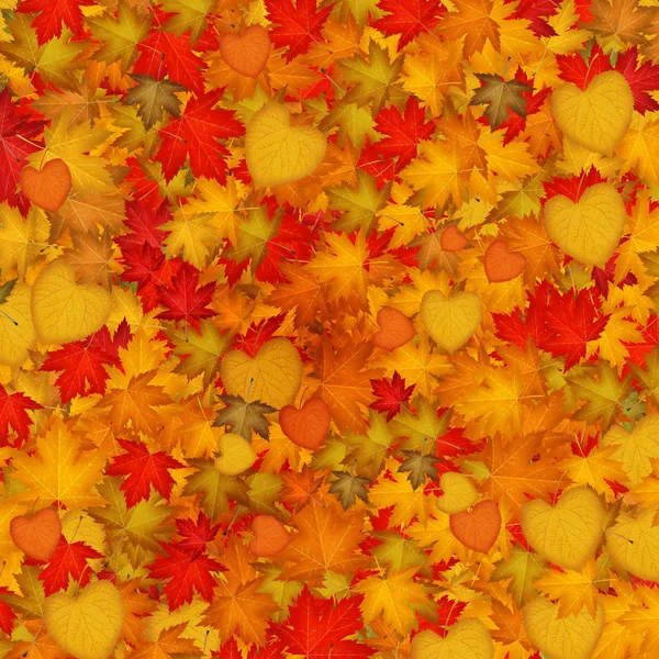 Hojas rojas en otoño —  Fotos de Stock