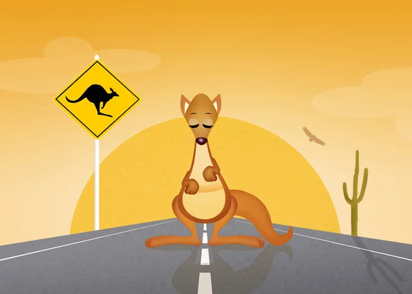 Kanguru işareti geçiş — Stok fotoğraf